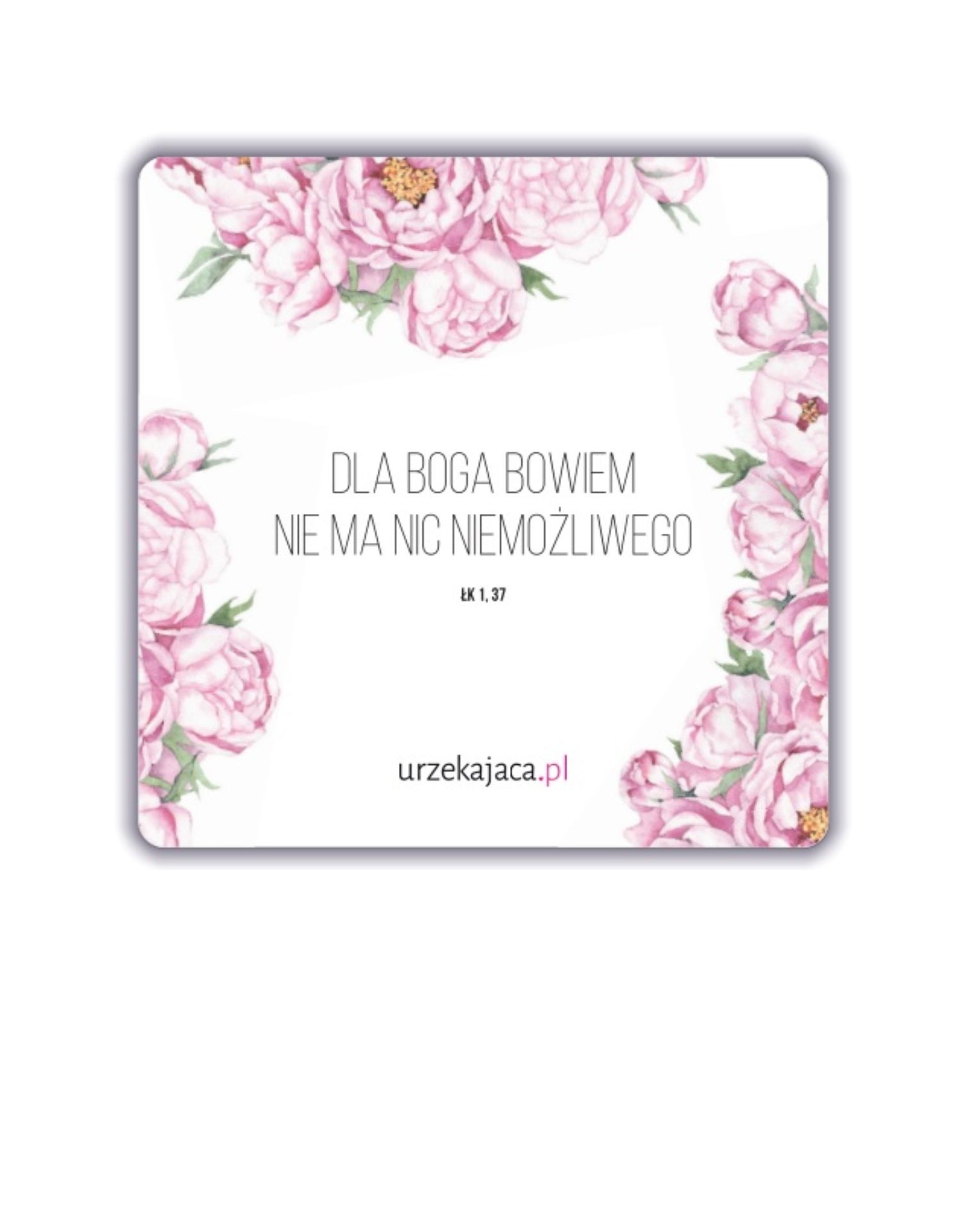 MAGNES - DLA BOGA (ŁK 1,37 )