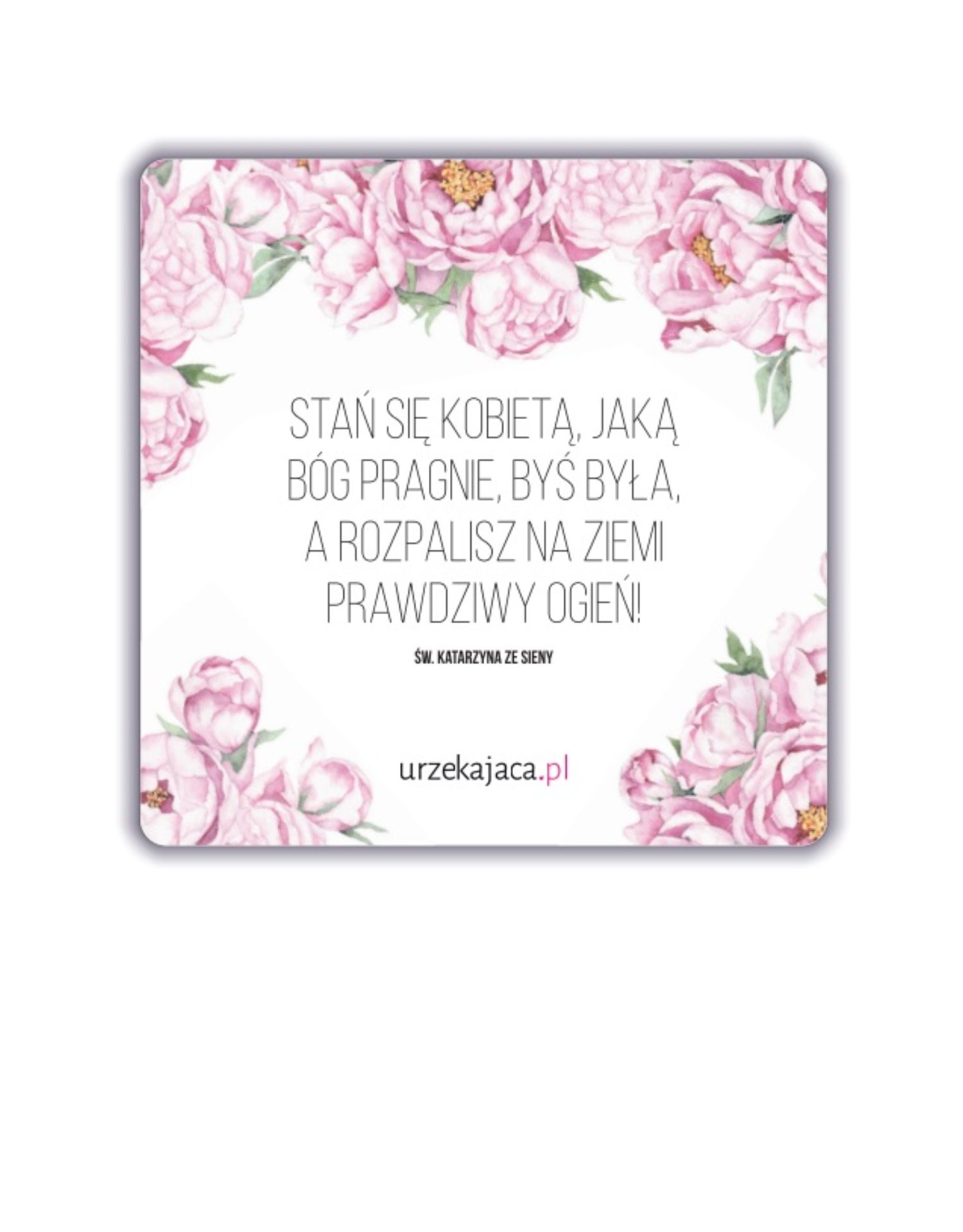 MAGNES - KOBIETA (ŚW. KATARZYNA ze SIENY)