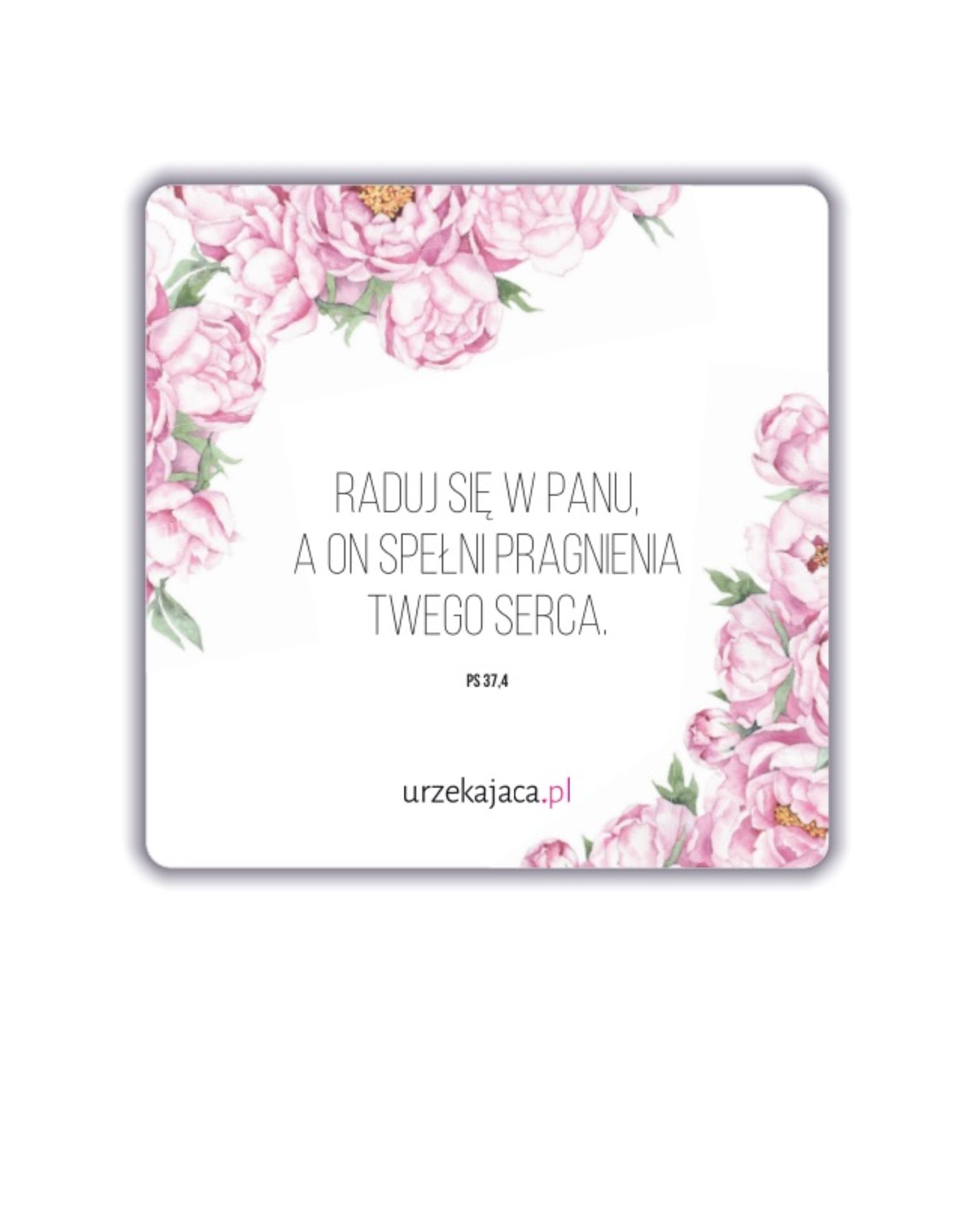 MAGNES - RADUJ SIĘ (PS 37,4)