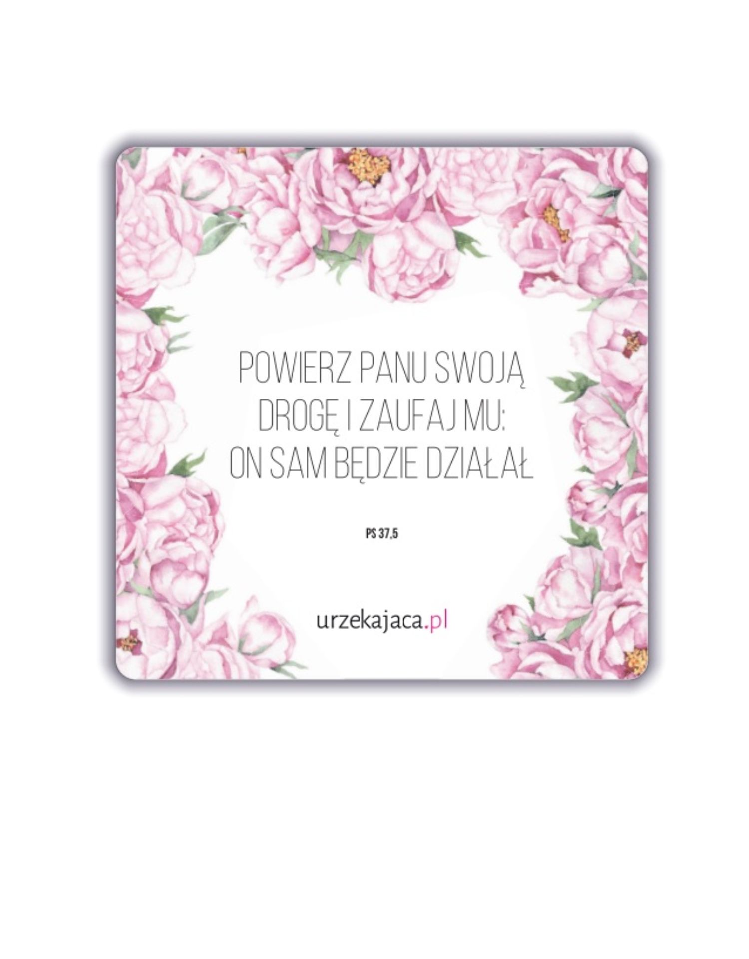 MAGNES - ZAUFAJ MU (PS 37,5)