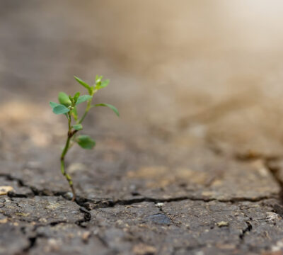 Kryzys jako Boży megafon: czyli jak odnaleźć sens w trudnościach.