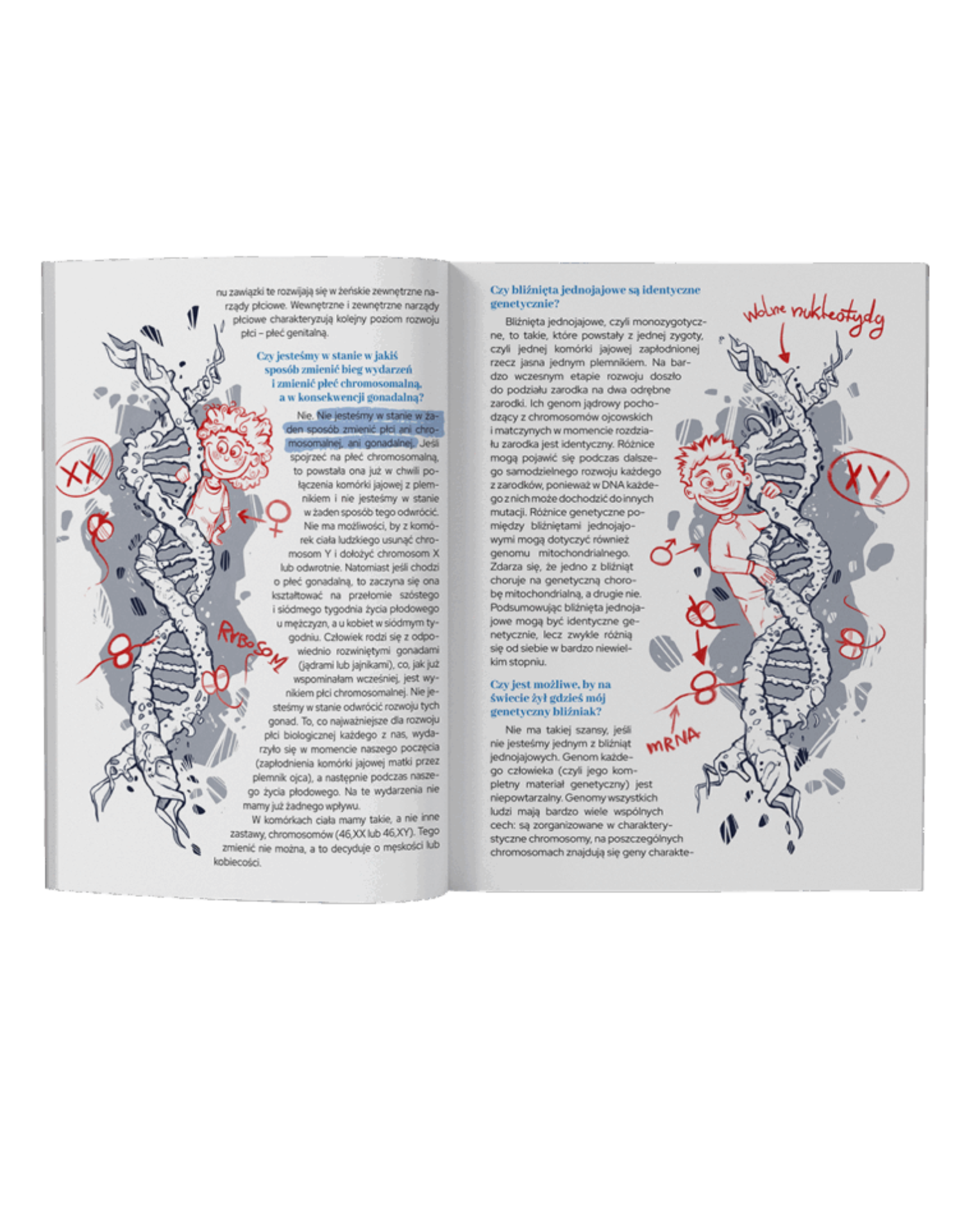 Girls’ Guide - Miłość i Seks - obrazek 3